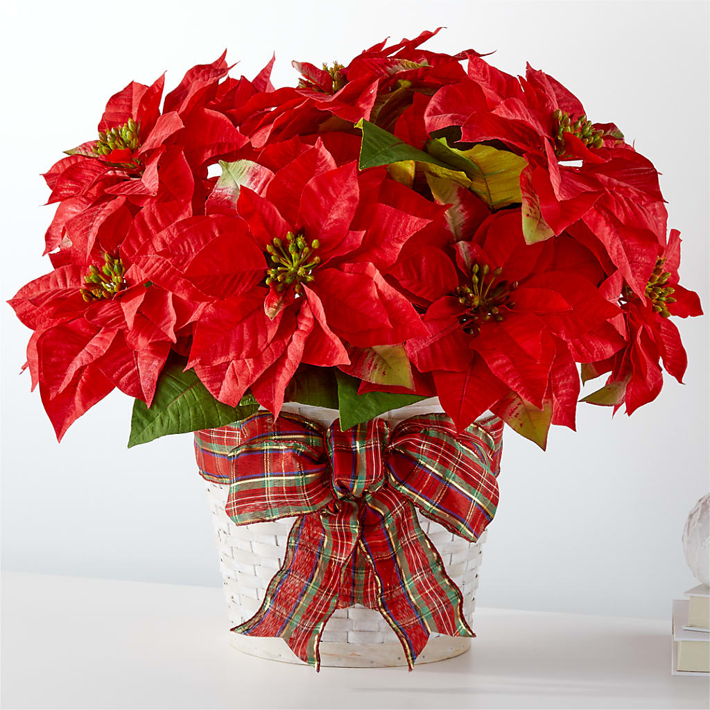 Happiest Holidays Poinsettia – Nayitas Rva Flowers, Richmond VA