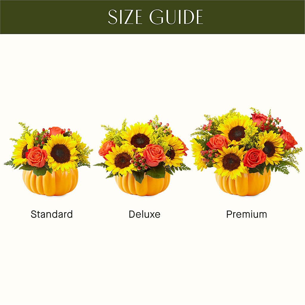 Pick of the Patch Pumpkin Bouquet – Nayitas Rva Flowers, Richmond VA