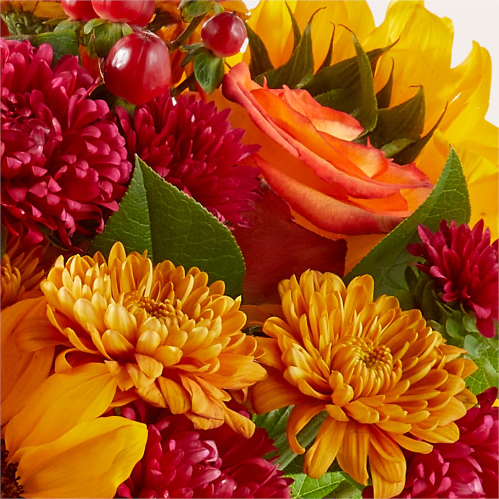 Sweater Season - A Florist Original – Nayitas Rva Flowers, Richmond VA