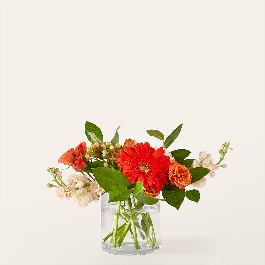 Paloma Please Bouquet – Nayitas Rva Flowers, Richmond VA