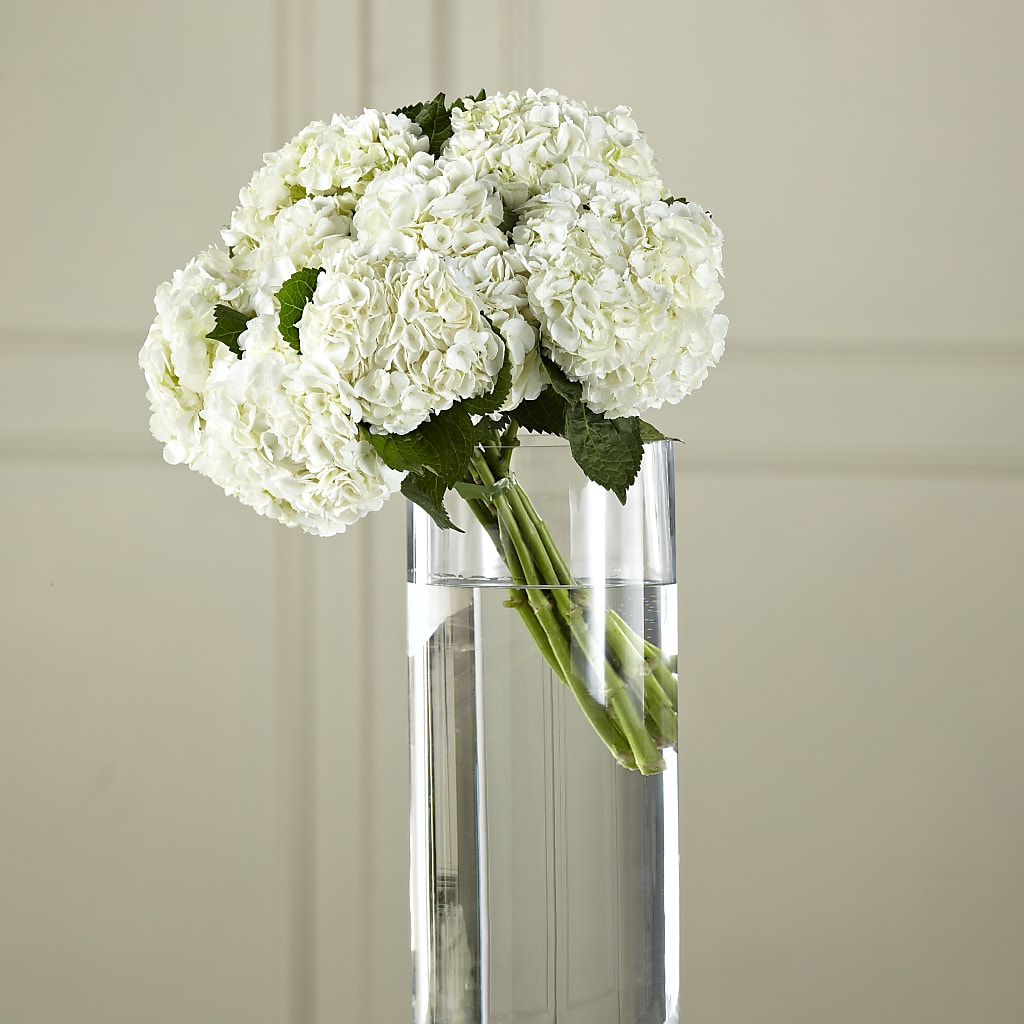 White Hydrangea Hand-Tied Bouquet – Nayitas Rva Flowers, Richmond VA