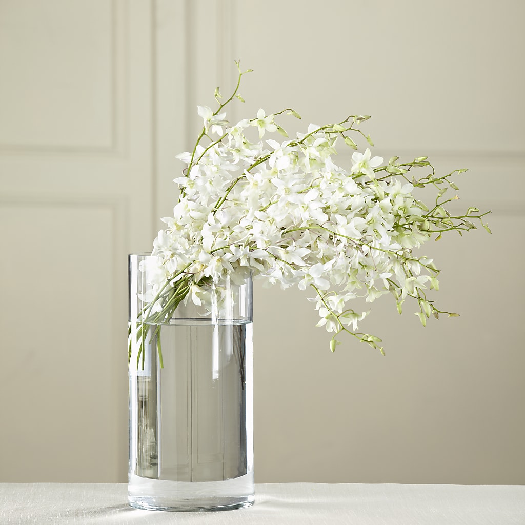 White Dendrobium Bouquet – Nayitas Rva Flowers, Richmond VA