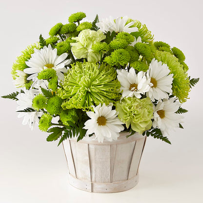 Lucky Charm Basket (Standard) –  Nayitas Rva Flowers, Richmond VA