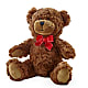 Adorable Plush Bear –  Nayitas Rva Flowers, Richmond VA