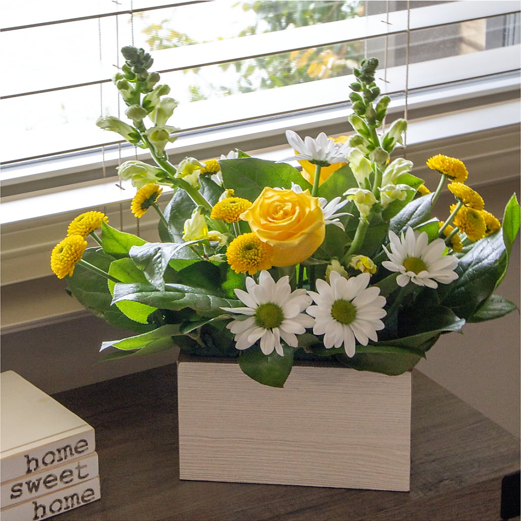 Sun Salutation Box Bouquet –  Nayitas Rva Flowers, Richmond VA