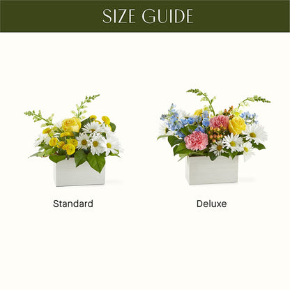 Sun Salutation Box Bouquet –  Nayitas Rva Flowers, Richmond VA