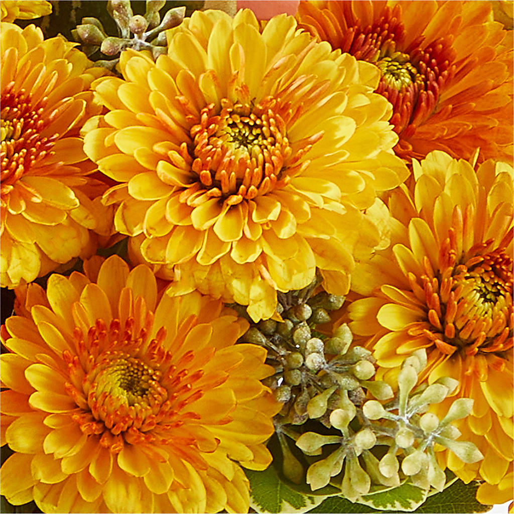 Peachy Pumpkin –  Nayitas Rva Flowers, Richmond VA