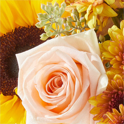 Pumpkin to Talk About Bouquet –  Nayitas Rva Flowers, Richmond VA
