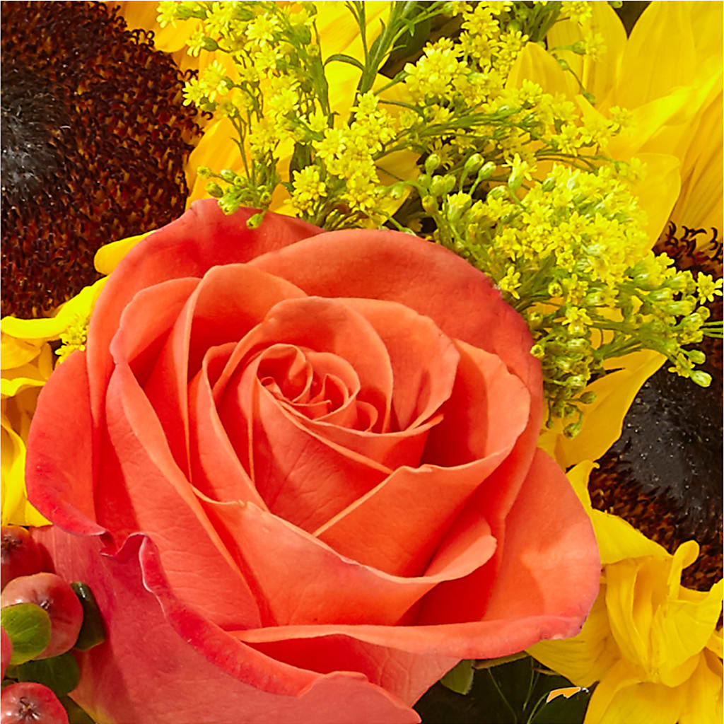 Pick of the Patch Pumpkin Bouquet –  Nayitas Rva Flowers, Richmond VA