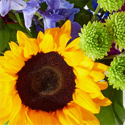 Catching Rays Bouquet –  Nayitas Rva Flowers, Richmond VA