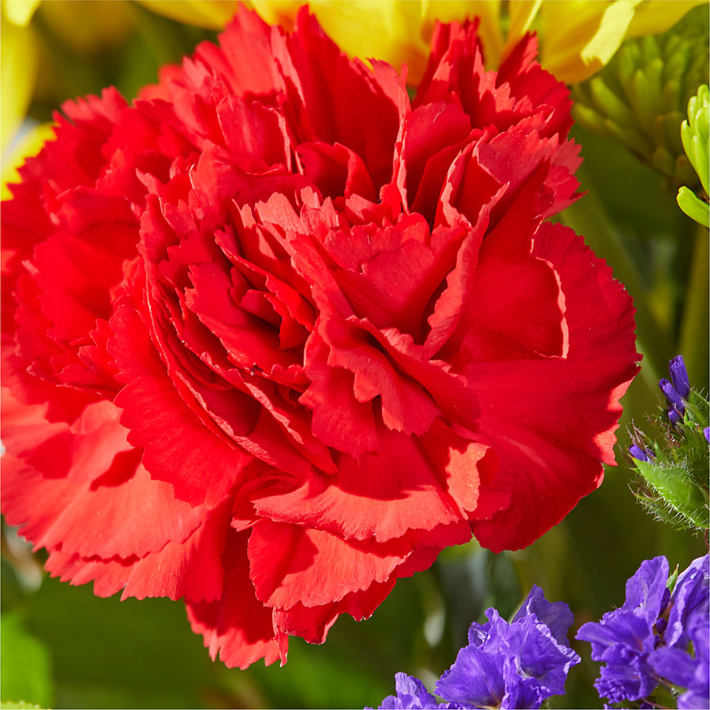 Brighter Days Bouquet –  Nayitas Rva Flowers, Richmond VA