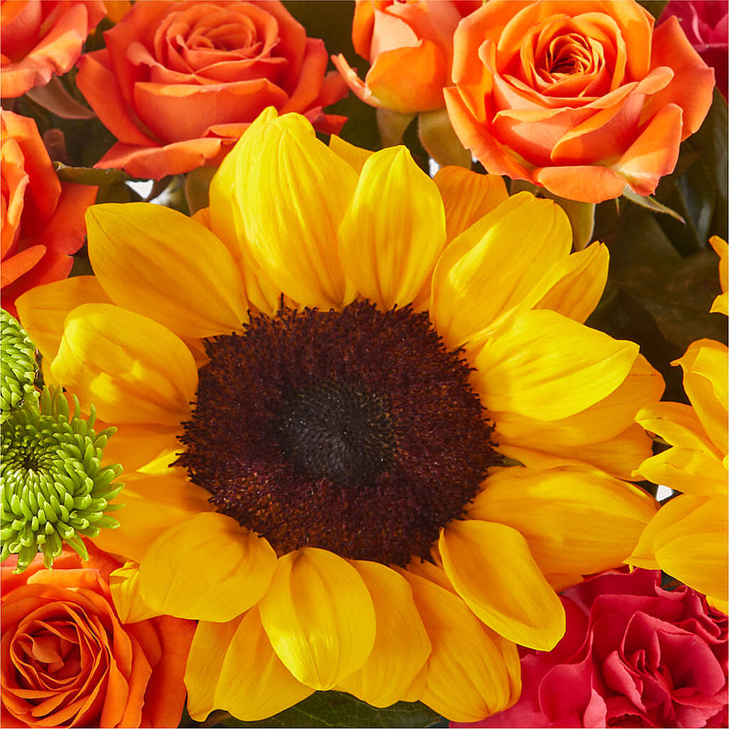 Sun-drenched Blooms Box Bouquet –  Nayitas Rva Flowers, Richmond VA
