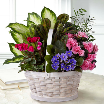 Peaceful Garden Planter –  Nayitas Rva Flowers, Richmond VA