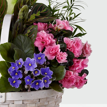 Peaceful Garden Planter –  Nayitas Rva Flowers, Richmond VA
