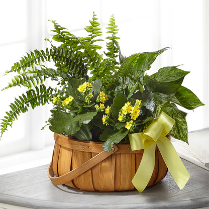 Always Dear Dishgarden –  Nayitas Rva Flowers, Richmond VA