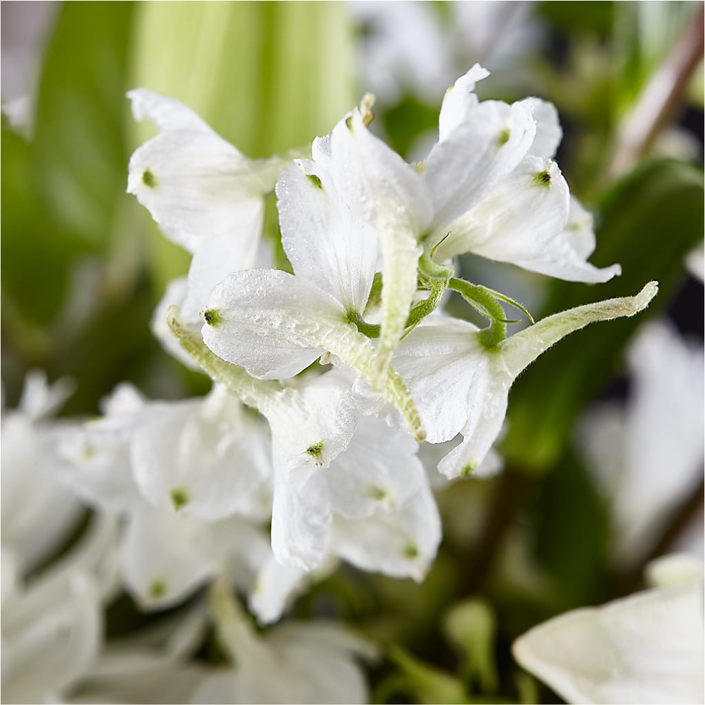 Classic Ivory – A Florist Original –  Nayitas Rva Flowers, Richmond VA
