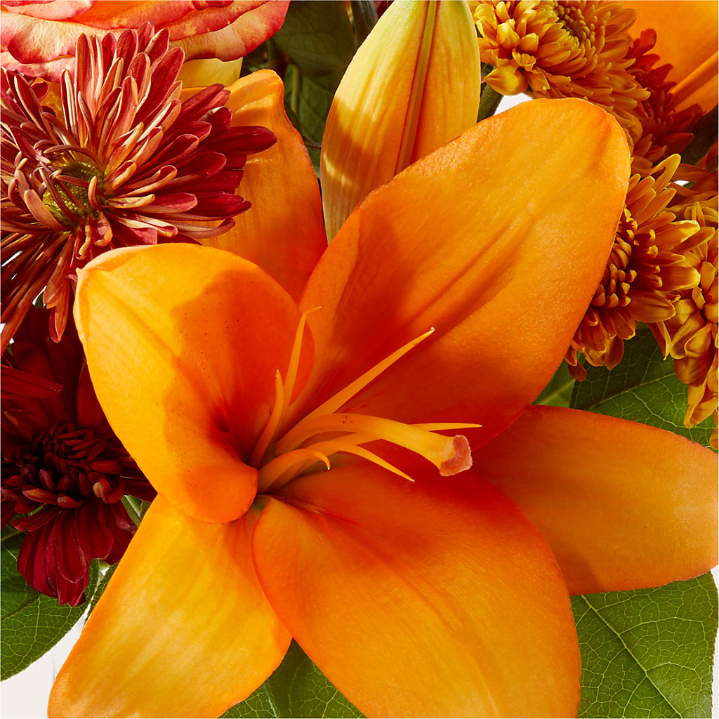 Autumnal Aroma Bouquet –  Nayitas Rva Flowers, Richmond VA