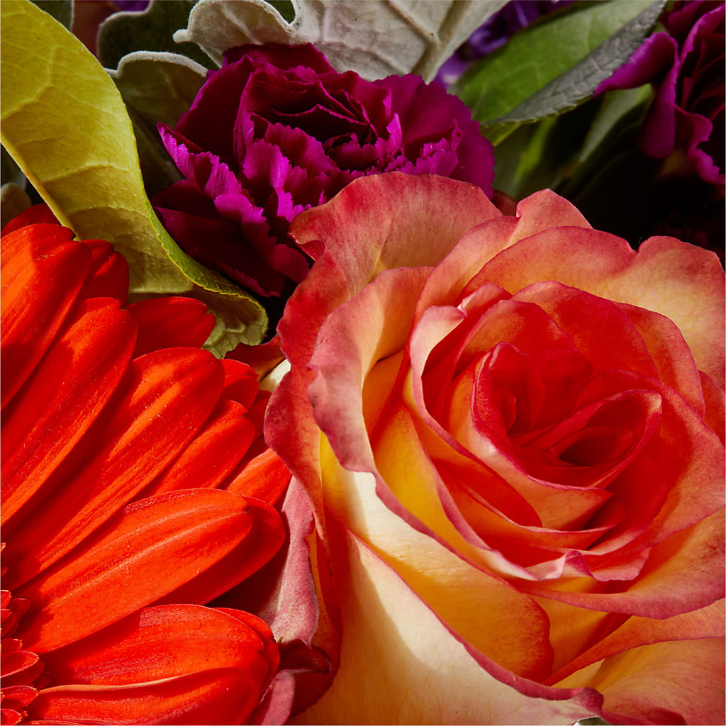 Sangria Bouquet –  Nayitas Rva Flowers, Richmond VA