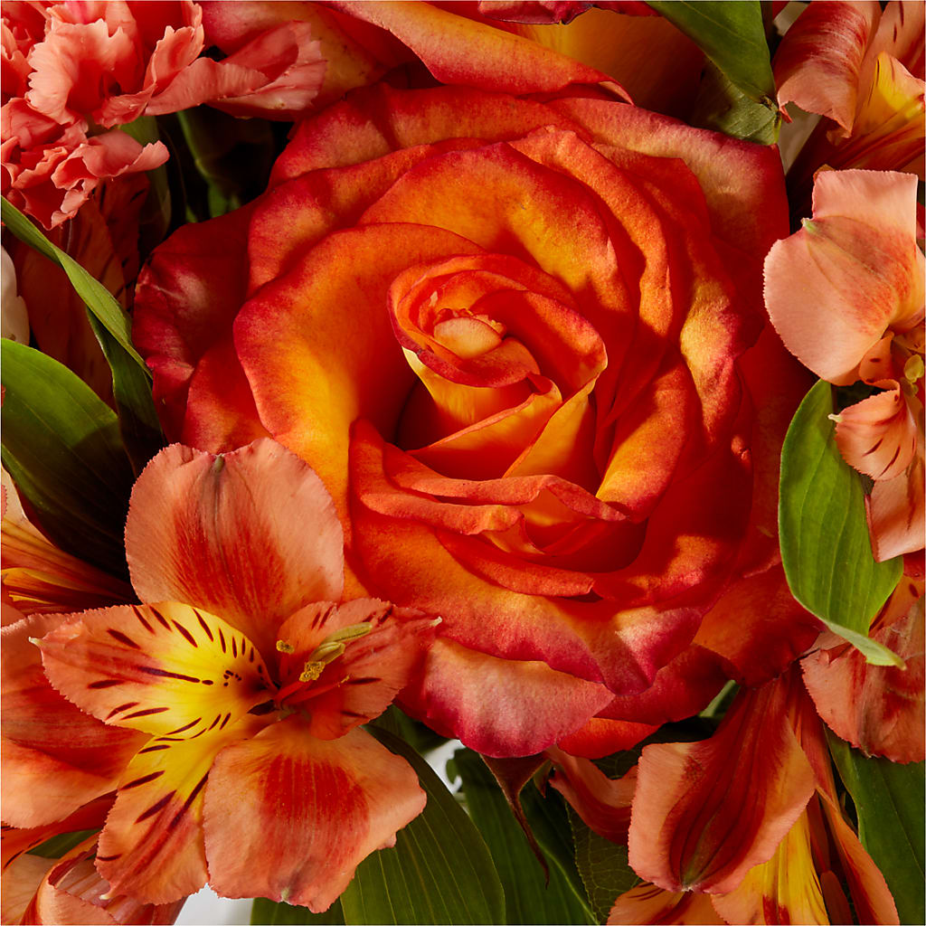 Apricot Glow Bouquet –  Nayitas Rva Flowers, Richmond VA