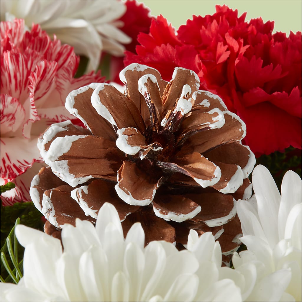 Candy Cane Lane Bouquet –  Nayitas Rva Flowers, Richmond VA