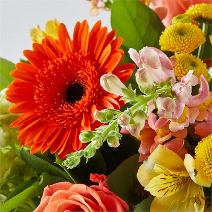 Autumn Sunshine Bouquet –  Nayitas Rva Flowers, Richmond VA