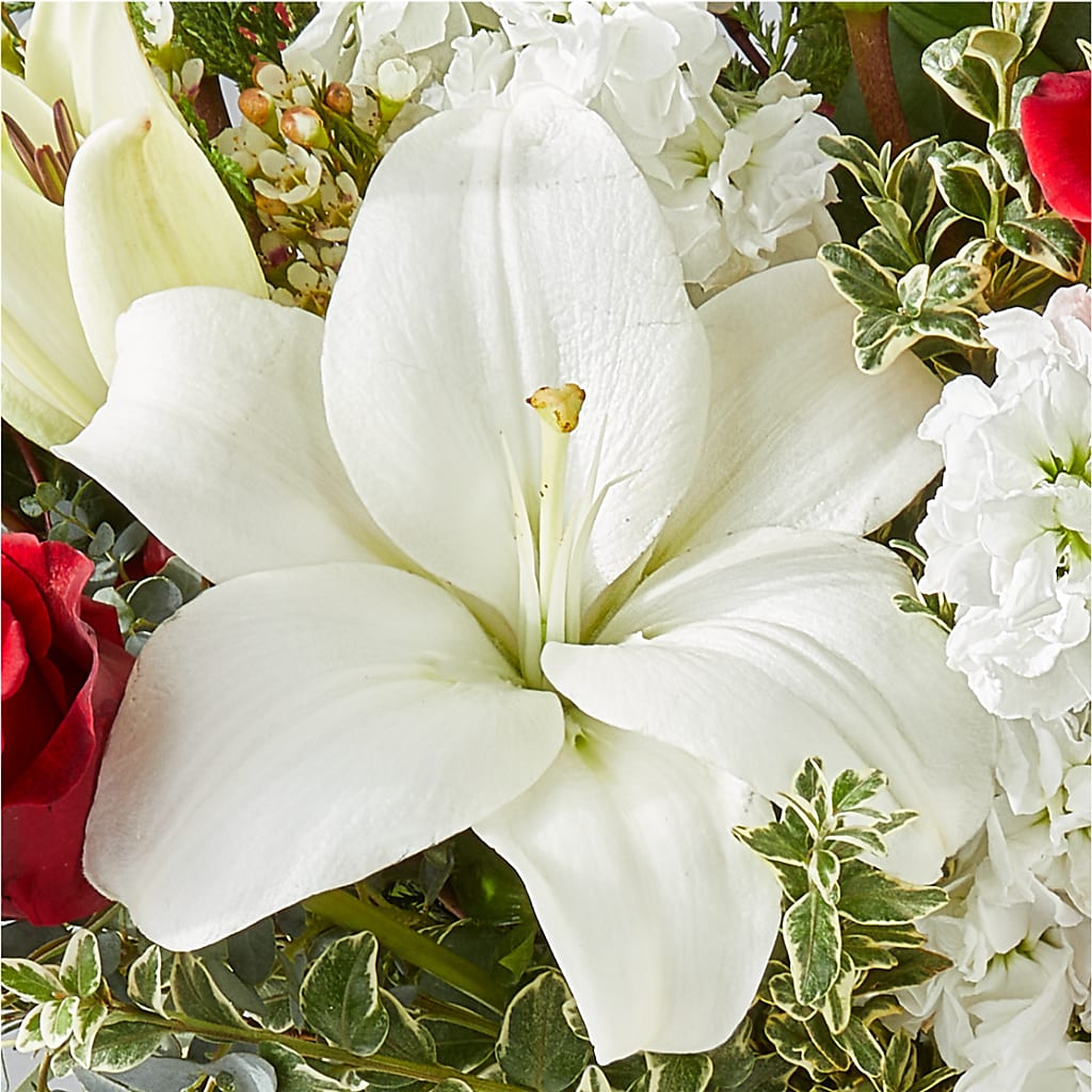 Twinkle Lights Bouquet –  Nayitas Rva Flowers, Richmond VA