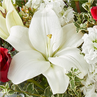 Twinkle Lights Bouquet –  Nayitas Rva Flowers, Richmond VA