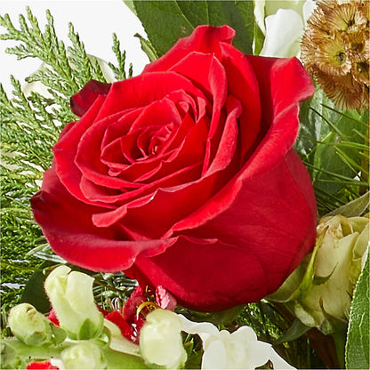 Deck the Halls Bouquet –  Nayitas Rva Flowers, Richmond VA