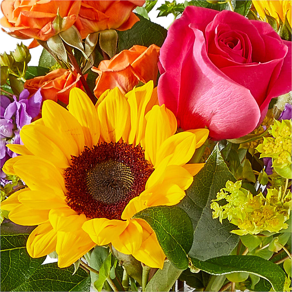 Vibrant Greetings Bouquet –  Nayitas Rva Flowers, Richmond VA