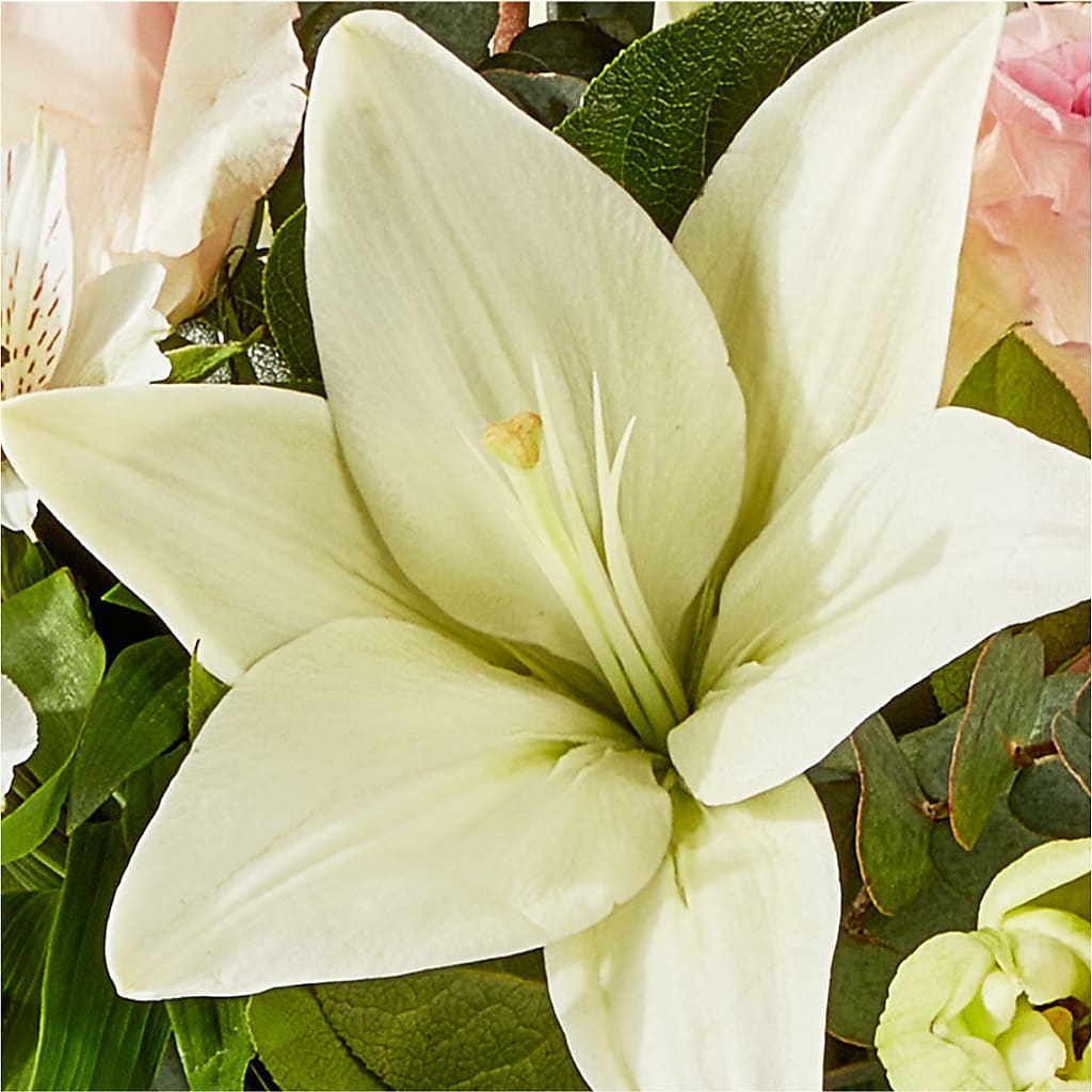 Ballet Slippers Bouquet –  Nayitas Rva Flowers, Richmond VA