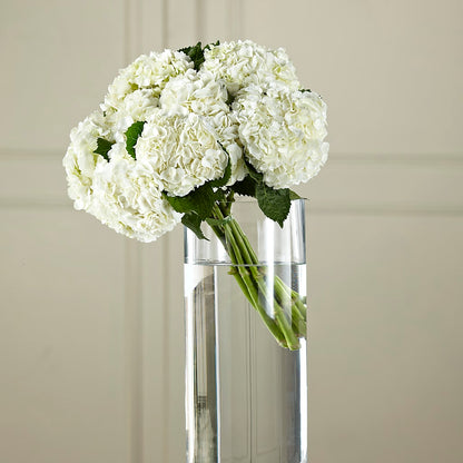 White Hydrangea Hand-Tied Bouquet –  Nayitas Rva Flowers, Richmond VA